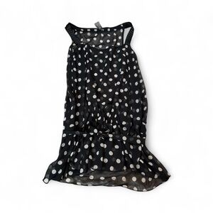Women’s Black Polka Dots Sheer Blouse